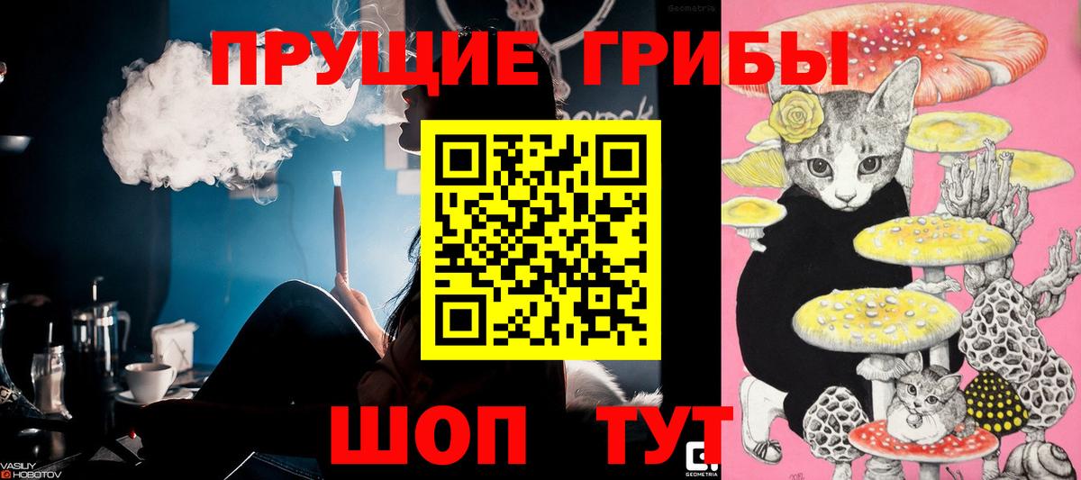 Псилоцибиновые грибы Magic Shrooms  закладка  Киржач  Вход с VPN  Псилоцибиновые грибы прущие грибы 